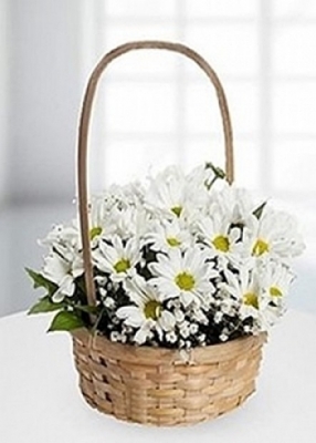 sultanbeyli  çiçek gönder